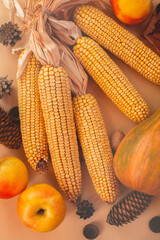 Top view autumn composition from the autumn harvest. Vertical background with pumpkin, apples, cones, dried corn, maple leaves in warm colors. ?oncept of healthy eating and autumn holidays