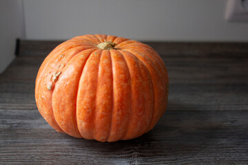 orange pumpkin on halloween