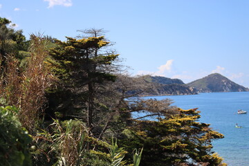 Capo Bianco (Elba), Italy – August 30, 2021: Panoramic view from the most famous beach of Elba by summer days. Beautiful blue sky reflection over the clear water.