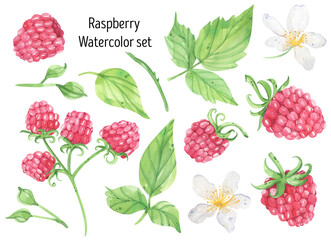 Raspberry watercolor juicy, fresh set illustrations. Wild berry, flowers, leaves. Summer organic, harvest, vegetarian. Perfect for invitations and cards.