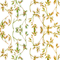 Pattern made of gold branches, eucalyptus leaves on a white background. flat layout, top view