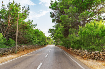 Fototapeta na wymiar Scenic road. The road is surrounded by a magnificent natural landscape.