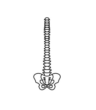 black spine anatomy on white background clip art preview