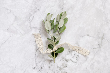 Eucalyptus branch with ribbon on marble table