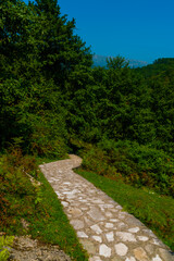 Fototapeta na wymiar OKATSE, GEORGIA: A beautiful scenic road that leads to Okatse Canyon on a sunny summer day.