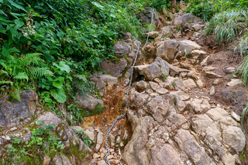 苗場山の登山道