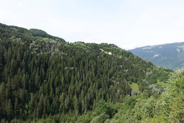 Fototapeta na wymiar Vue sur une forêt en Savoie
