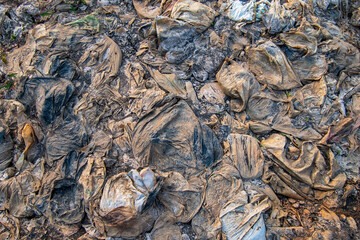 Plastic waste in rivers, pollution and the environment