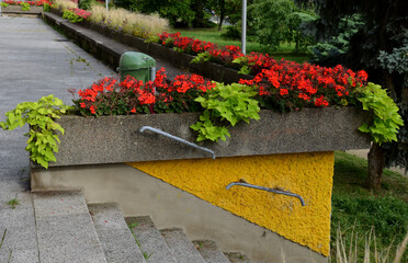 on the edge of the elevated terrace overlooking the park is a concrete long flowerpot with a concrete bench. is part of the city colonnade. flowers bloom here