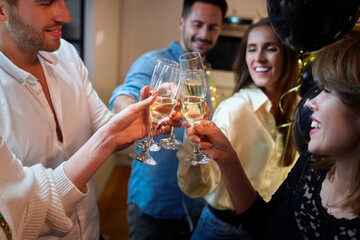 Friends making toast on the party