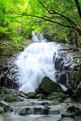 夏の千寿院の滝　福岡県糸島市　Senjuin waterfall in summer