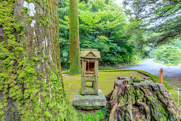 Naklejka premium 夏の雷神社 福岡県糸島市 Summer Ikazuchi shrine Fukuoka-ken Itoshima city