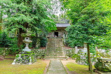 夏の雷神社　福岡県糸島市　Summer Ikazuchi shrine　Fukuoka-ken Itoshima city
