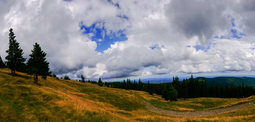 hilly landscape with single trees on a mountain with clouds panorama