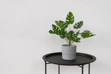 Green artificial potted plantS standing on a black table