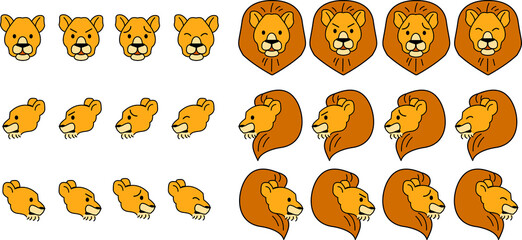 ライオンの表情