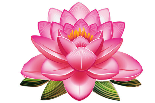 pink lotus flower Stock Vector | Adobe Stock