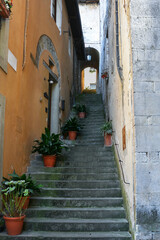 Steile Treppe mit Pflanzkübeln in einer engen Gasse in der Altstadt von Barga Toskana