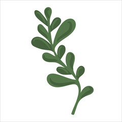 Hand drawn branch with leaves isolated on white background. Decorative floral element for your design. Vector illustration