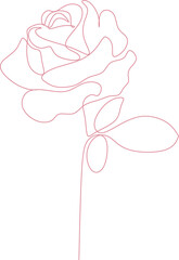 One line art rose flower