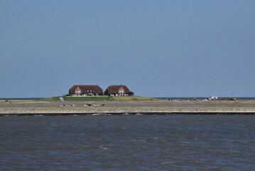 Nordstrandischmoor im Sommer