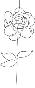 One Line Art Rose Flower