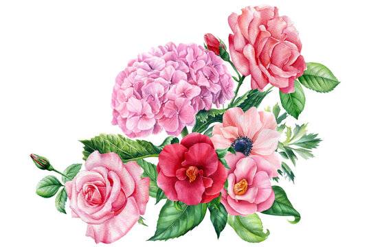 Watercolor flowers. Hydrangea, rose, magnolia, camellia and pink anemone, botanical illustration. Floral design
