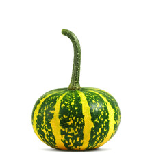 Pumpkin. Small decorative real pumpkin isolated on white background with shadow. Isolated autumn vegetable.