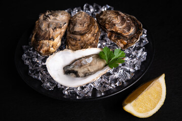 Frische Austern auf Eis