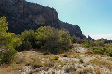 mare e natura selvatica