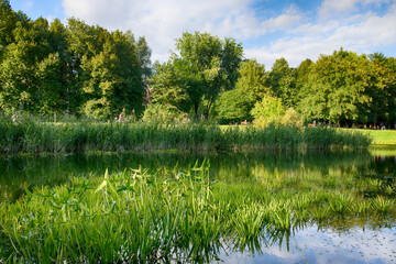Beautiful lake in the city park in the autumn season
