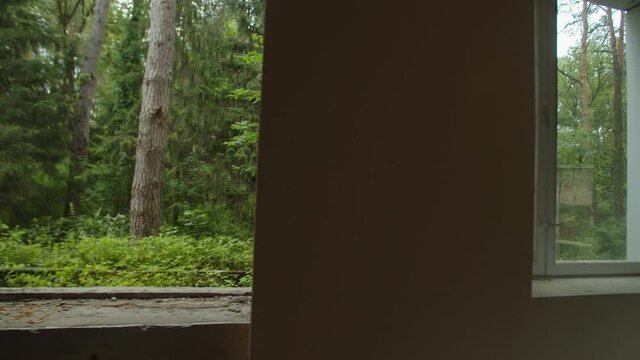View from inside building of special assault squad moving along windows, ready to storm building. Anti-terrorist soldiers checking each window hole, weapon in firing position