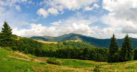 Fototapeta na wymiar Panorama of the Carpathian mountains in August landscape with grass, trees, sky