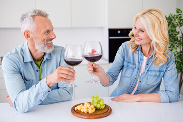 Photo of smiling cheerful lovely couple wife and husband drinking wine clink toast eat appetizer celebrate home date