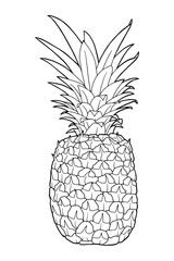 Realistic pineapple illustration. Juicy tropical fruit. Botanical illustration. Coloring page. Black outline. 