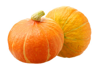 Orange pumpkin on white background 