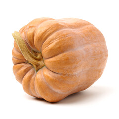 Orange pumpkin on white background 