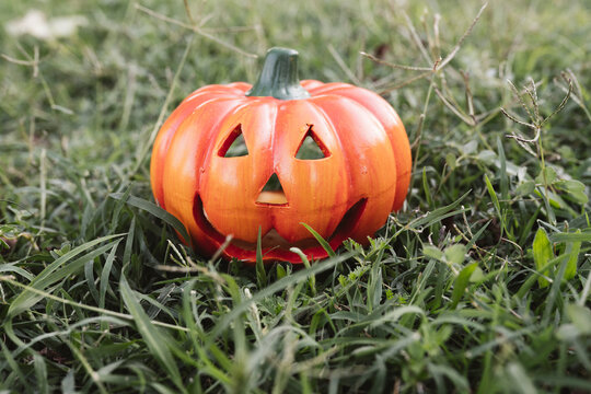 halloween pumpkin in the grass