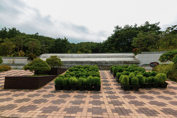 garden in the park