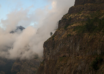 mountain in the fog