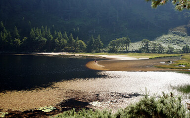 Sunlit shore of a mountain lake. Wicklow Mountains. Ireland.