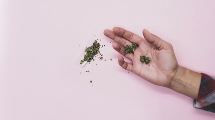 Woman rolling cannabis joint. Crushed buds of marijuana on the tobacco paper. 