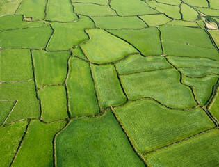 Aerial view of patchwork of fields in Cornwall, UK