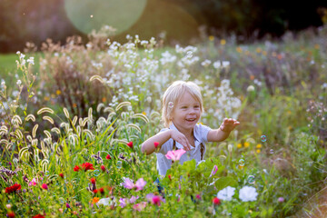 Cute preschool blond child, playing in the park on sunset, summertime