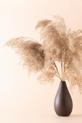 Dry fluffy pampas grass in a vase on a beige background.