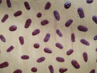Acrylic and gouache pattern of brown color, ovals, coffee, beans