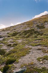 View from Whistlers Mount on summer in Jasper National Park, Alberta, Canada