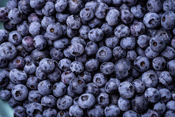 Fresh blueberries close-up. Berry background.