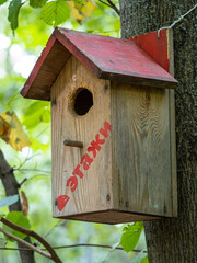 flora and fauna of the Vorontsov Park in Moscow