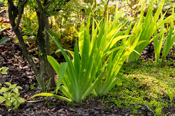 Obraz premium 서울식물원